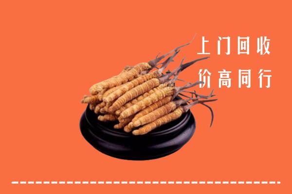 高价求购：潍坊市回收散虫草