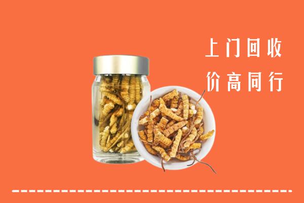 潍坊市回收冬虫夏草